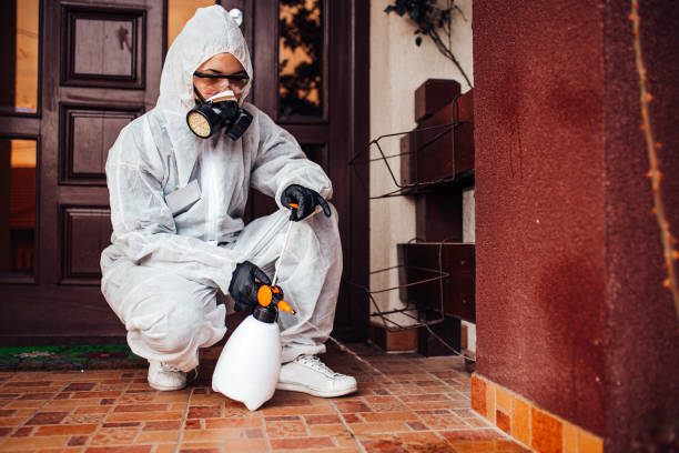 Attic and Crawl Space Rodent Treatment in Shiner